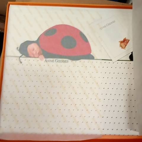 Parure Copripiumino - Lady Bugs 165 - Tela Cotone 150tc - F1 071180020 - 1664