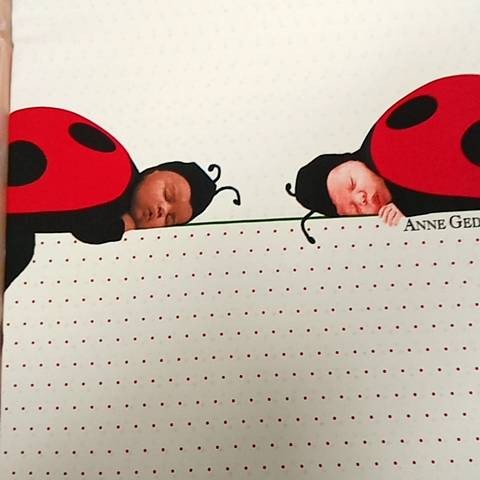 Parure Copripiumino - Lady Bugs 205 - Tela Cotone 150tc - F1 071180020 - 1665