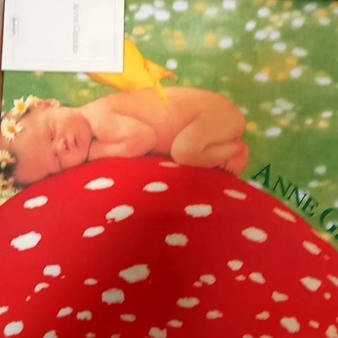 Parure Letto - Toadstool - Percalle 200tc - F1 041483520 - 1714