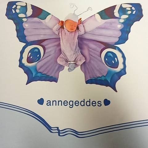 Parure Letto - Butterfly - Percalle 200tc - F1 041488310 - 2109